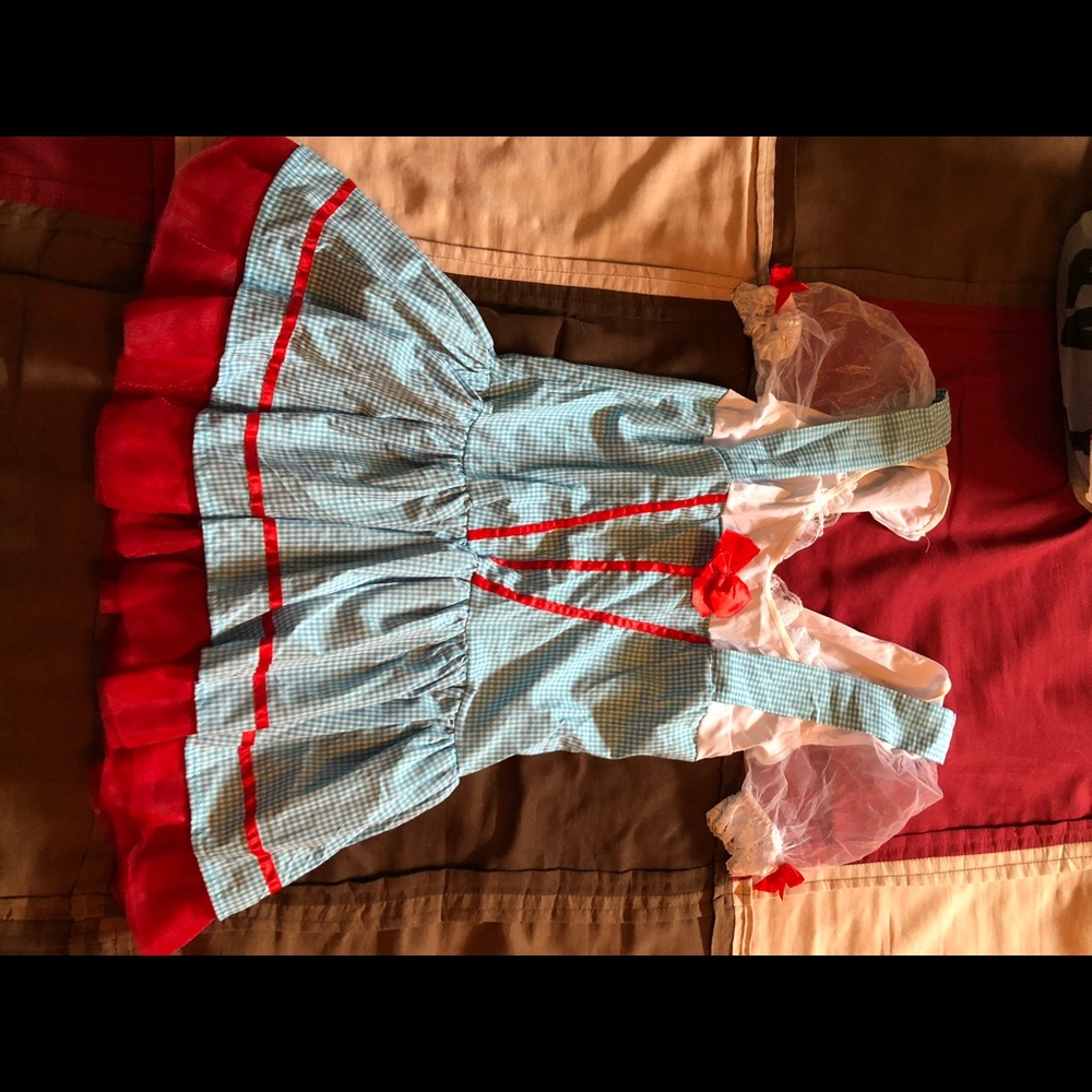 LIKE NEW Dorothy Costume